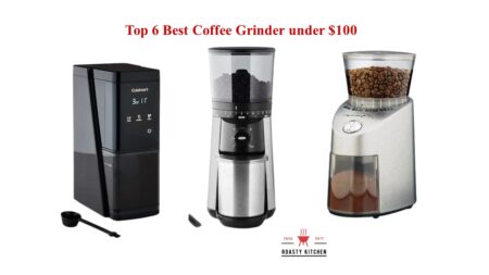 Top 6 Best Burr Coffee Grinder under 100